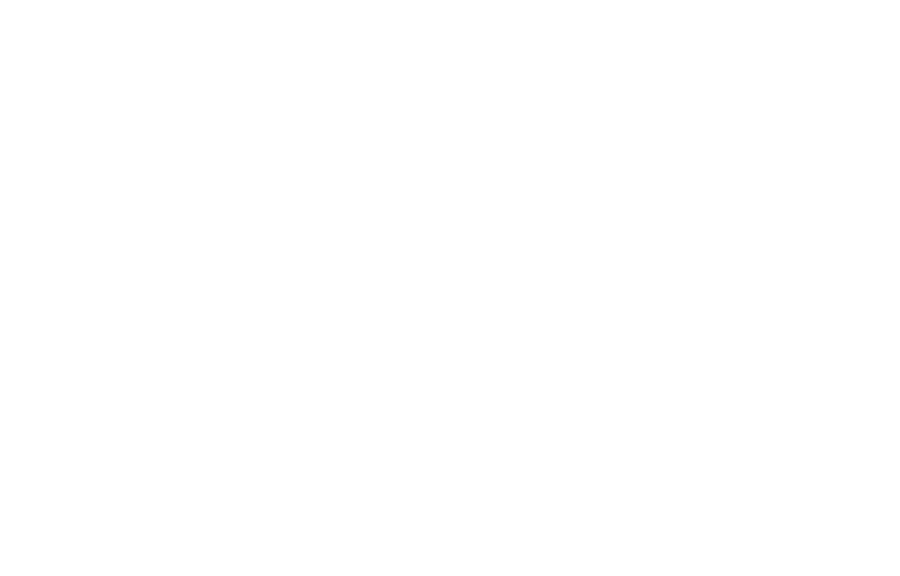 Consillium Group, Inc.